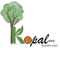 Kopalradio radio logo