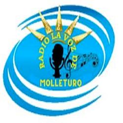Radio la voz de Molleturo logo