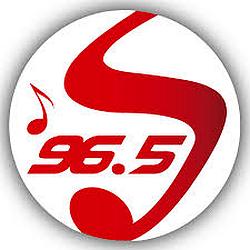 Sentimientos radio logo