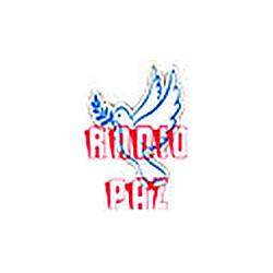 Radio TV Paz Online logo