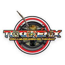 Tereré Mix|Concepción radio logo