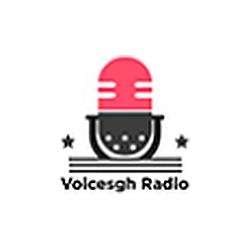 Voicesgh Radio logo