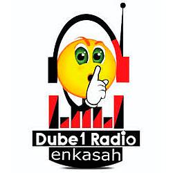 Dube 1 Radio logo