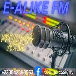 E-Alike FM logo