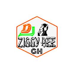 Dj Ziggy Bee pro radio logo
