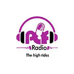 PAF Radio Ibadan logo