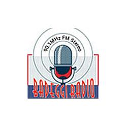 Badeggi Radio 90.1 FM logo