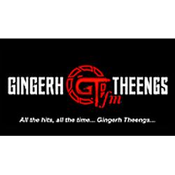 Gingerh Theengs FM logo
