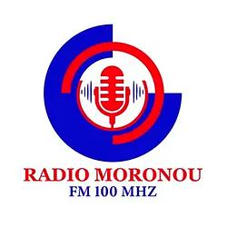Radio Ivoire FM 101.1 Niakara logo