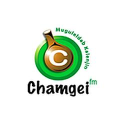 Chamgei FM logo