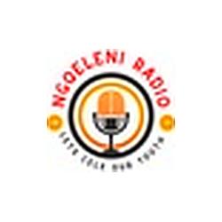 Ngqeleni FM logo