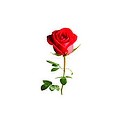 True Love Radio Sneh logo