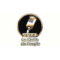 UDPSRADIO radio logo