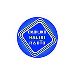 Badiliko Halisi Radio logo