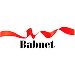 Babnet Tunisia radio logo