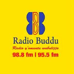 Radio Buddu 98.8FM and 95.5FM logo