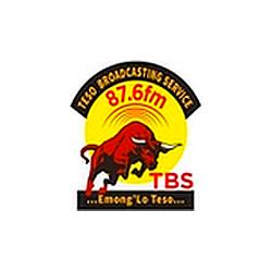 TBS FM The Bull logo