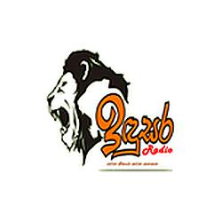 Indusara Radio logo