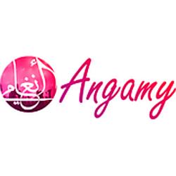 Angamy radio logo