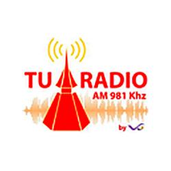 Radio 981 logo