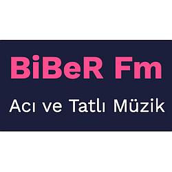 Biber FM logo