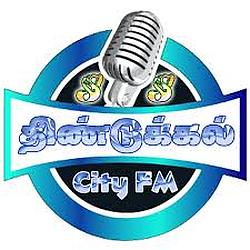 Dindigul City FM logo