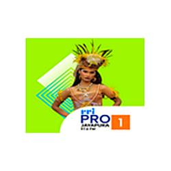 RRI Pro 1 - Jayapura radio logo