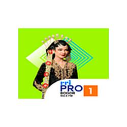 RRI Pro 1 - Bogor radio logo