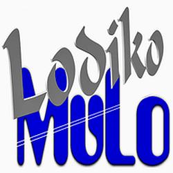 Lodiko MuLo radio logo