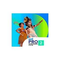 RRI Pro 2 - Manokwari radio logo