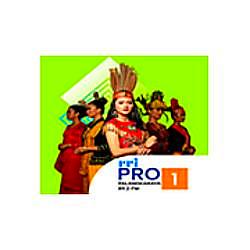 RRI Pro 1 - Palangkaraya radio logo