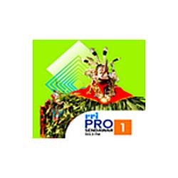 RRI Pro 1 - Sendawar radio logo