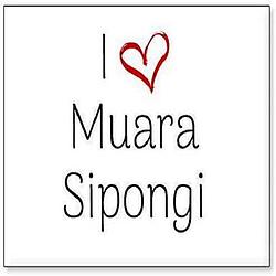 Muarasipongi radio logo