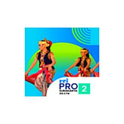 RRI Pro 2 - Surakarta radio logo
