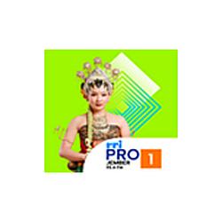 RRI Pro 1 - Jember radio logo
