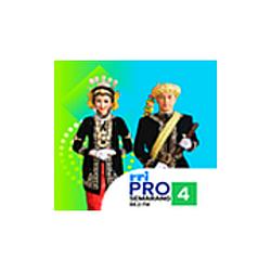 RRI Pro 4 - Semarang radio logo