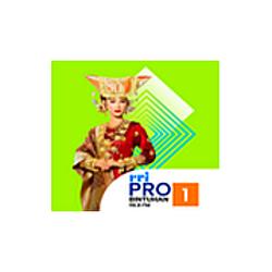 RRI Pro 1 - Bintuhan radio logo