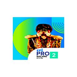 RRI Pro 2 - Malang radio logo