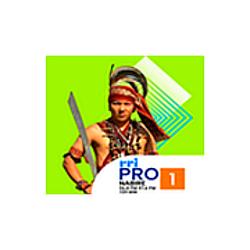 RRI Pro 1 - Nabire radio logo