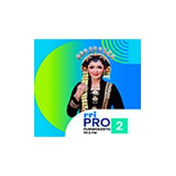 RRI Pro 2 - Purwokerto radio logo