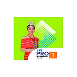 RRI Pro 1 - Atambua radio logo