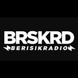 Berisik Radio logo