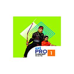 RRI Pro 1 - Sumenep radio logo