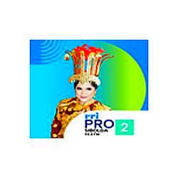 RRI Pro 2 - Sibolga radio logo