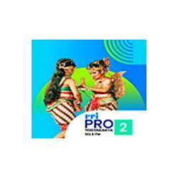 RRI Pro 2 - Yogyakarta radio logo