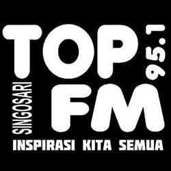 Top Fm 95.1 logo