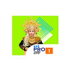 RRI Pro 1 - Jambi radio logo