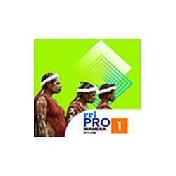 RRI Pro 1 - Wamena radio logo