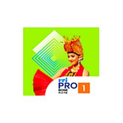 RRI Pro 1 - Bone radio logo