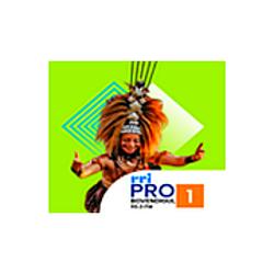 RRI Pro 1 - Bovendigul radio logo